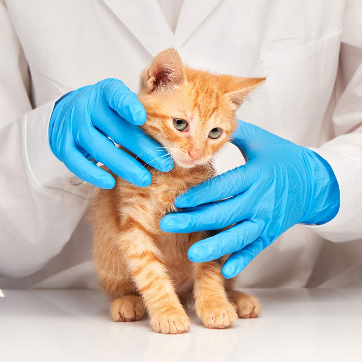 Latex-Free Blue Nitrile Exam G - đánh giá và giá Exam Glove Nitrile